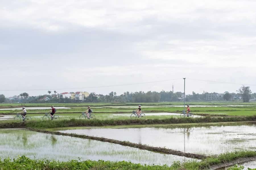 Hoi An : Eco Bicycle Tour with Fishing and Lunch/Dinner - What to bring (and what to skip)