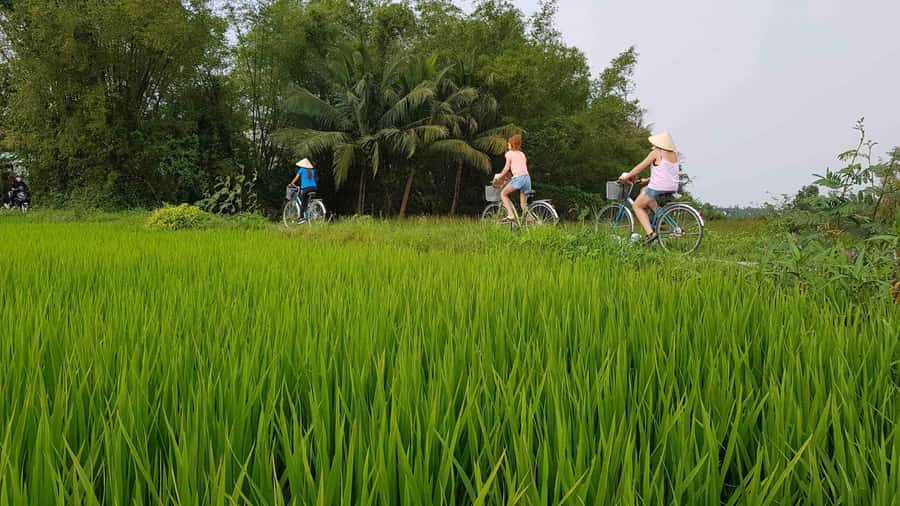 Hoi An : Eco Bicycle Tour with Fishing and Lunch/Dinner - Cam Thanh basket boat in the water coconut palm forest