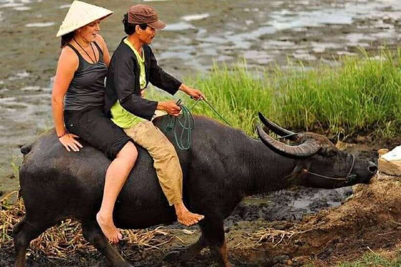 Hoi An Wet Rice Farming Tour-Basket Boat Tour Fishing-Lunch - Entering Cam Thanh Village: Where the Day Starts