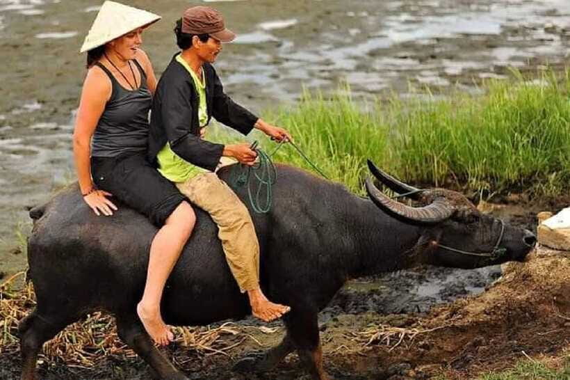 Hoi An Wet Rice Farming Tour-Basket Boat Tour Fishing-Lunch - So About the Price: Is $20 Good Value?