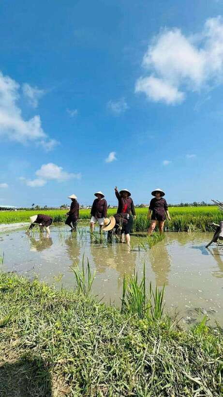 Hoi An Wet Rice Farming Tour-Basket Boat Tour Fishing-Lunch - Wet Rice Farming: Seeding to Planting With Real Tools