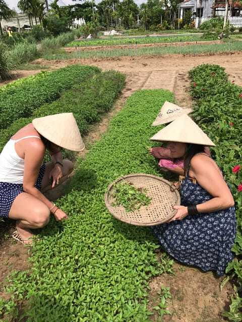 Hoian/Da Nang: Fishing, basket riding and cooking class - Price and Logistics: does $35 feel fair for a 6-hour day?