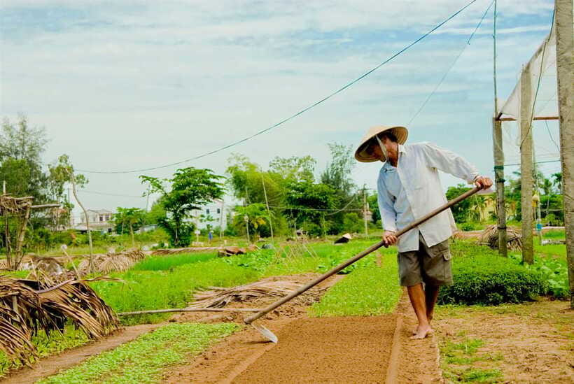 Hoian/Da Nang: Fishing, basket riding and cooking class - FAQ
