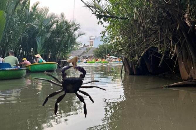 HoiAn:Making Lantern & Cooking Class-BasketBoat Ride,Crab fishing - The Nipa Forest Visit: Quiet Nature Stops Between Activities