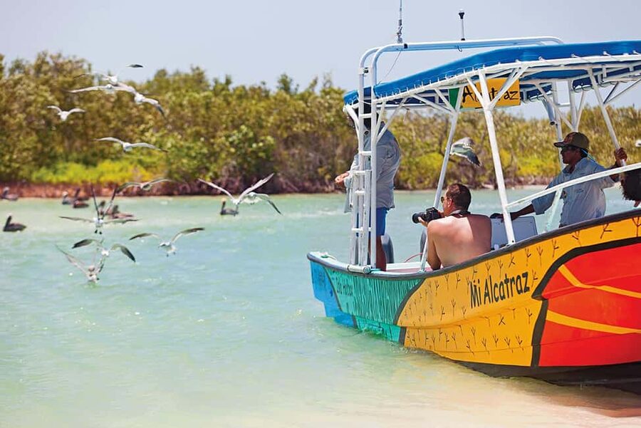 Holbox: Traditional Fishing Tour with Ceviche Tasting - Key things to know before you go