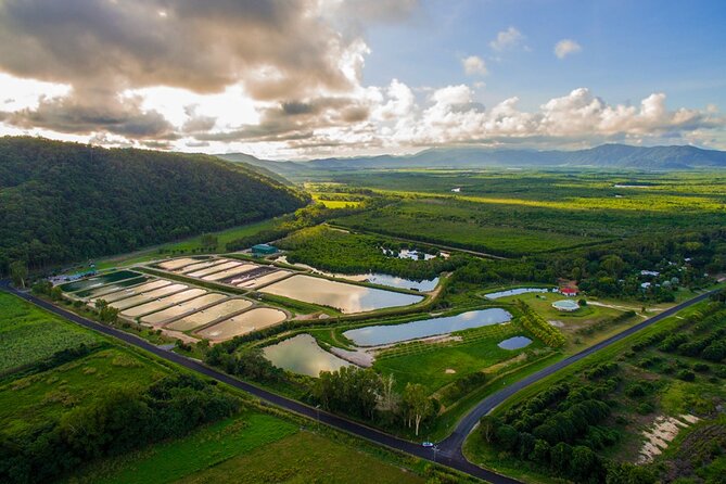 Hook-A-Barra Fishing and Farm Activity - Why Hook-A-Barra Feels Like More Than a Fishing Trip