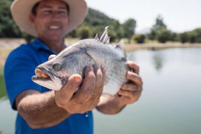 Hook-A-Barra Fishing and Farm Activity - The 2.5 Hours: How the Day Flows (Farm Tour, Harvest, Fishing, Tasting)