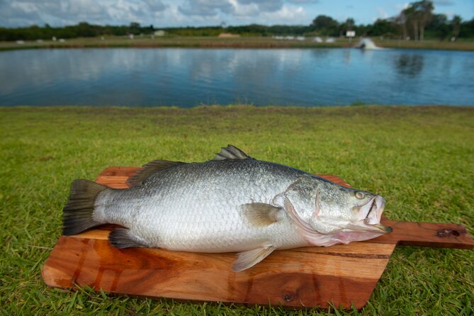 Hook-A-Barra Fishing and Farm Activity - Should You Book Hook-A-Barra?