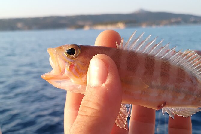 Hook Your Adventure Now with Chania Rod Fishing Experience - Price and value: what $102.41 per person buys you