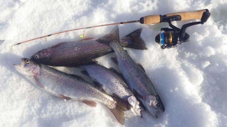 Ice Fishing Adventure in Levi with Salmon Soup - Price and Value: Is $135 Fair for a 3-Hour Ice Fishing Trip?