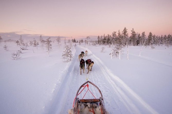 Ice Fishing and Husky - Key things to know before you go