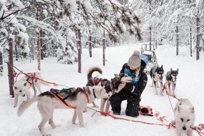 Ice Fishing and Husky - Price and Value for a 4.5-Hour Arctic Day at $312.41