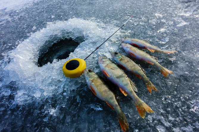 Ice Fishing and Husky - Bonfire Break and Finnish Salmon: Warmth After Waiting on Ice