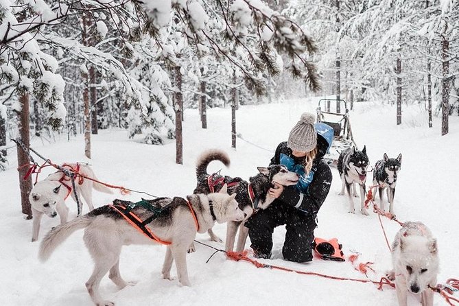 Ice Fishing and Husky - Price and Value for a 4.5-Hour Arctic Day at $312.41