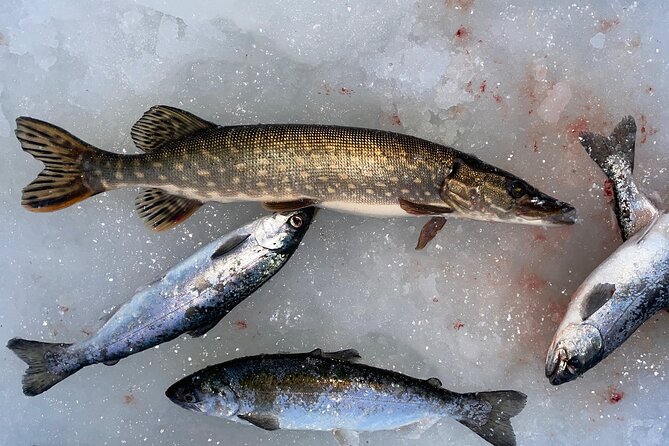 Ice Fishing in Fairbanks - How the Fishing Time Feels in Real Life