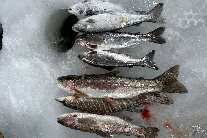 Ice Fishing in Fairbanks - Timing, Group Size, and Who This Suits Best