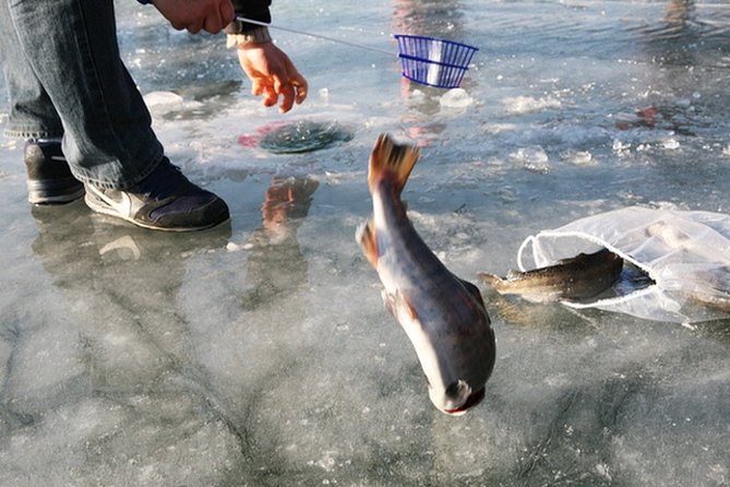 Ice Fishing Tour - Hwacheon Sancheoneo Ice Festival Day Trip from Seoul - Lunch and Warm-Up Breaks: Staying Comfortable for Hours