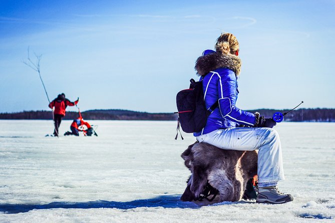 Ice Fishing Trip in Rovaniemi - What You Might Catch: Perch, Trout, and Arctic Whitefish