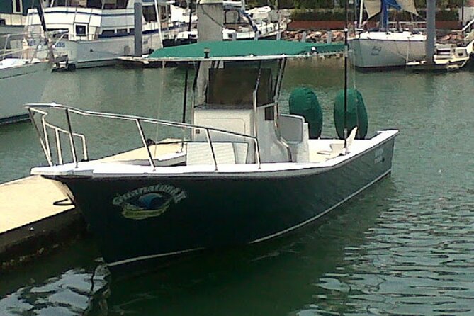 Inshore Fishing 4-Hour Puerto Vallarta Charter - Captain Scooby and Mate Chicken: help that actually shows up