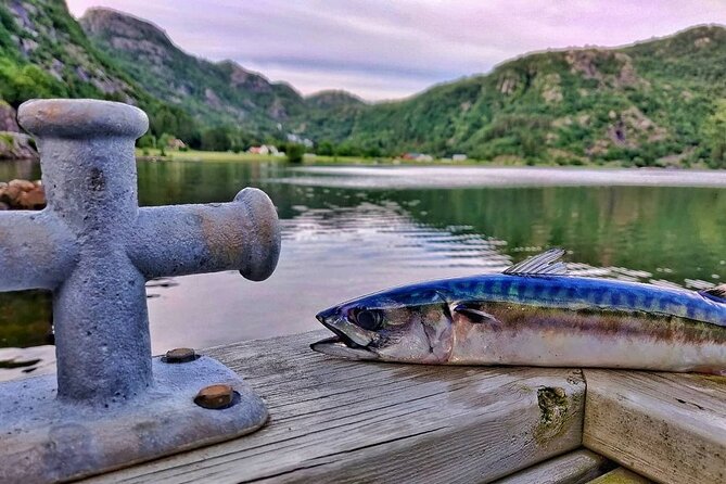 Inshore fishing in the Drangefjord - Key highlights you should care about