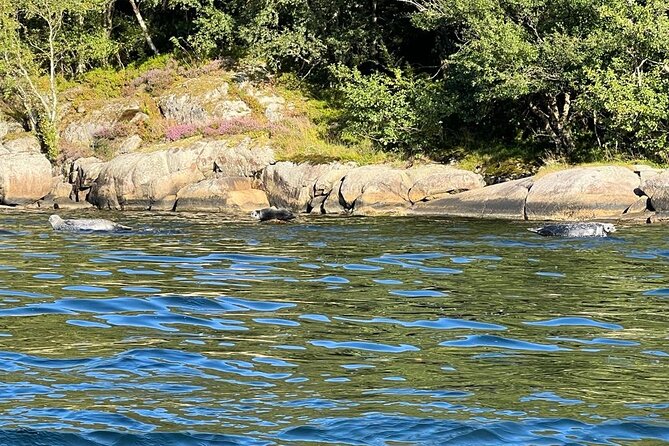 Inshore fishing in the Drangefjord - Price and value: what $121.47 gets you