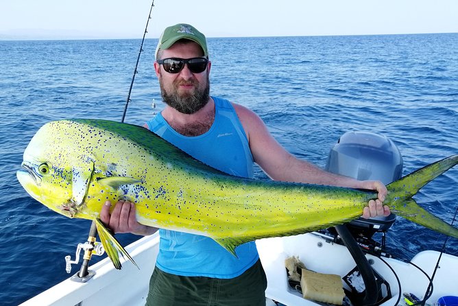 Inshore Fishing trip in Santa Teresa - Marine Life Sighting: Dolphins, Manta Rays, Turtles, and Whales