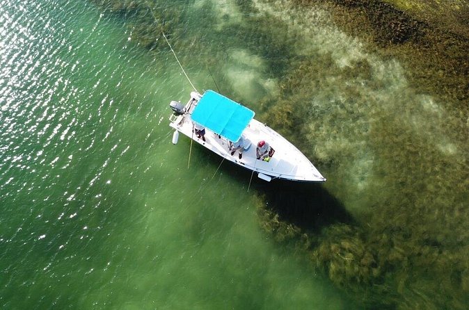 Inshore & Fly Fishing Punta Cana Private charter at Marina Cap Cana - Snorkeling comfort hinges on anchoring and flotation fit