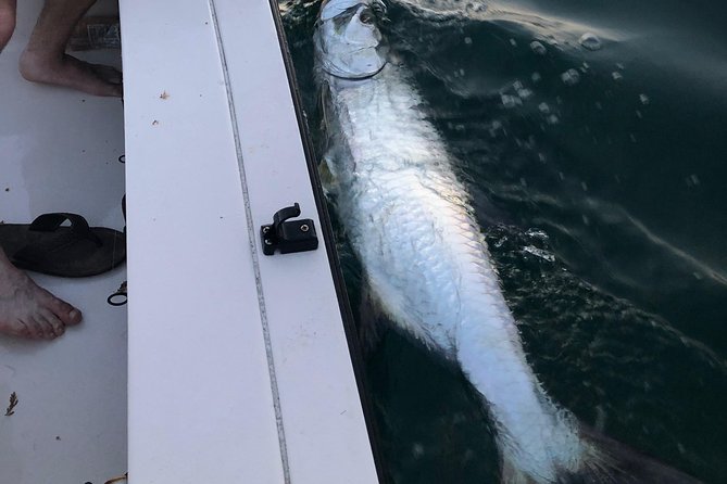 Inshore Sport Fishing with Local Guide - What’s Included, What Isn’t, and What to Pack
