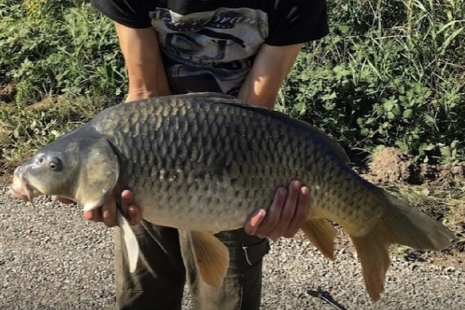 Introduction to fishing in Strasbourg - Key highlights you’ll care about