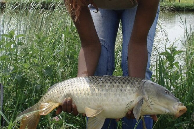 Introduction to fishing in Strasbourg - Carp fishing without the long wait: how to stay confident