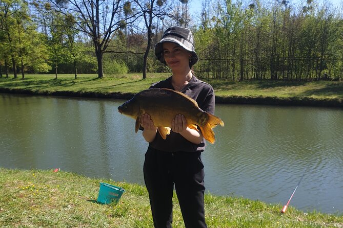 Introduction to fishing in Strasbourg - The pond setting: nature close enough to matter