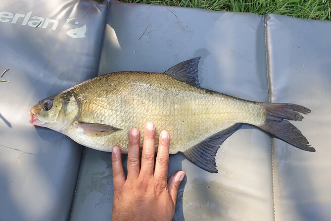 Introduction to fishing in Strasbourg - Price and value: what $60.08 really covers