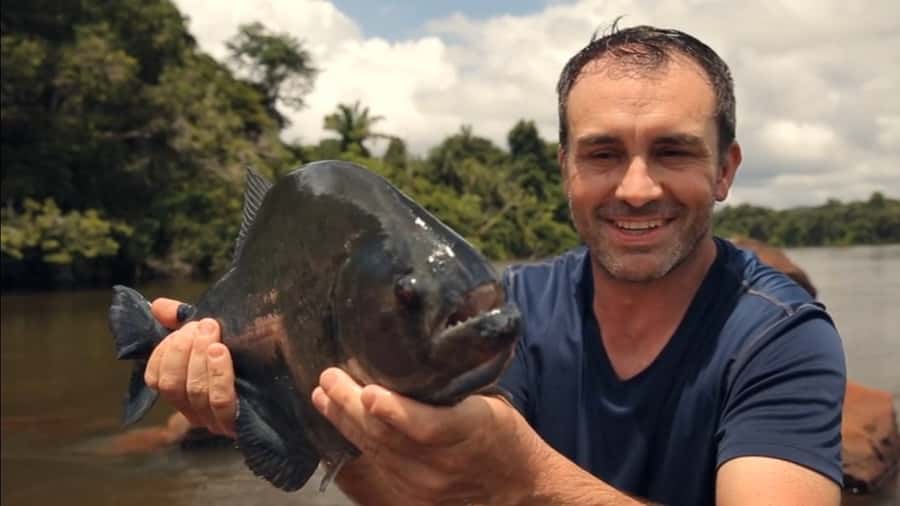 Iquitos: Piranha Fishing Experience in the Amazon jungle - Key points before you go
