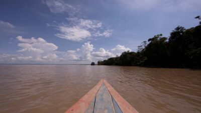 Iquitos: Piranha Fishing Experience in the Amazon jungle - The 2-hour flow: pickup, van, boat, sail, fish