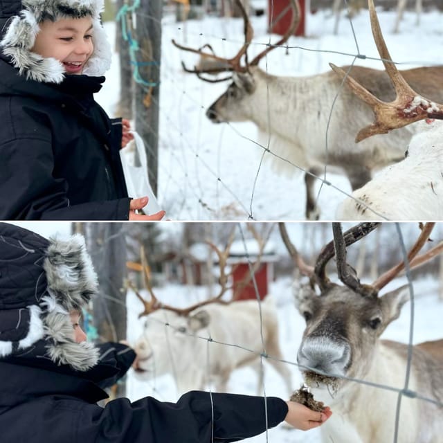 Ivalo: Ice Fishing Tour to Lake Inari, Reindeers & Lunch - Who Should Book This Ivalo Ice Fishing Tour (And Who Might Skip It)