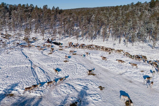Ivalo: Reindeer herd and fishing experience - Lake fishing and the open-fire lunch: what you’re doing when you’re waiting