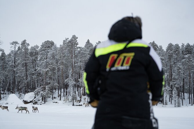 Ivalo: Reindeer herd and fishing experience - Getting there by 8:00 am: pickup and travel without chaos