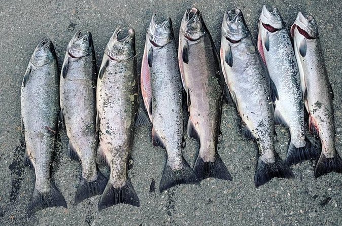 Juneau Shore Fishing Shuttle and Gear - Price and value: $149, plus the costs you must plan for
