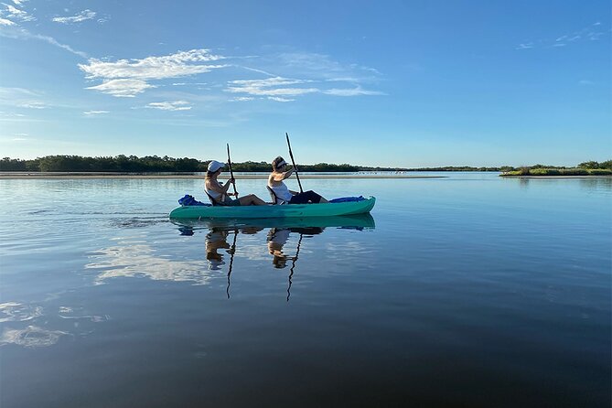 Kayak, paddle board, and fishing kayak rentals - Mangrove Waterways Near Ormond Beach: The Setting