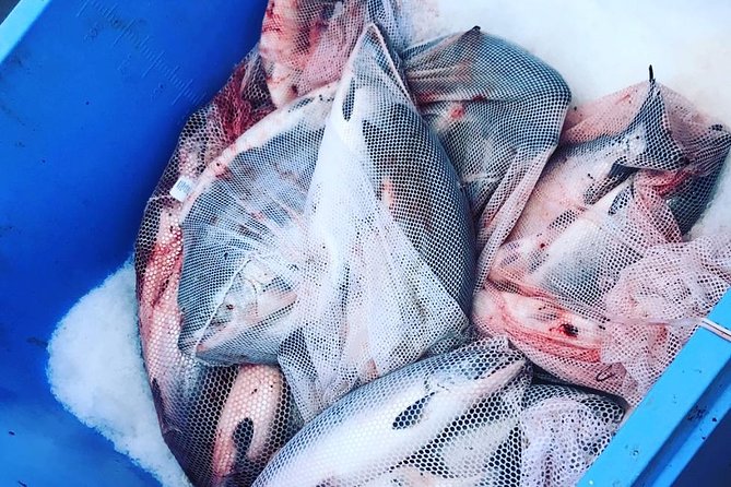 Ketchikan Fishing Charter - The Ketchikan waters: why a private salmon-and-halibut charter works