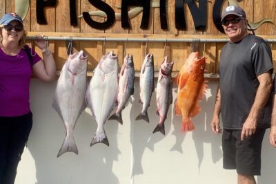 Ketchikan Fishing Charter - Fishing gear and bait: you show up, and you fish
