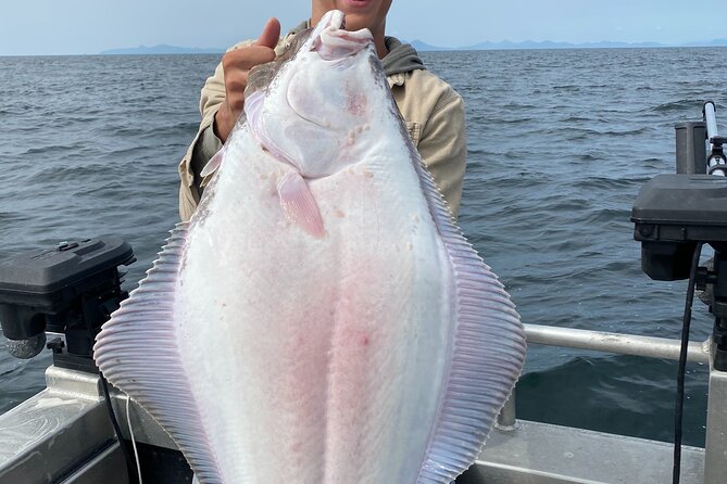 Ketchikan salmon fishing adventure - Key highlights at a glance