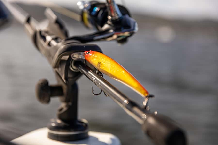Knysna Lagoon Fishing Charter - Price and Value: Is $99 Fair for a Guided Lagoon Trip?