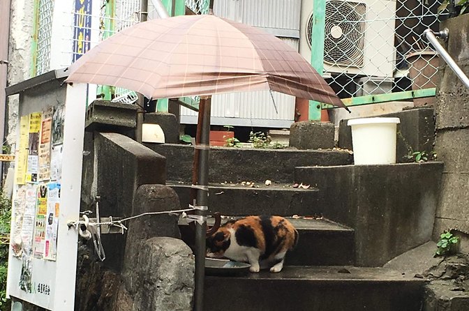 KOBE, SHIOYA, a quaint fishing town walking tour - Through the tunnel into everyday Shioya life