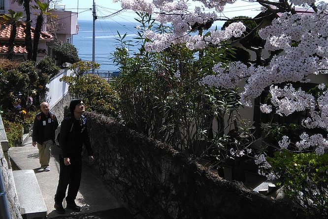 KOBE, SHIOYA, a quaint fishing town walking tour - Price check: is $98.93 worth it for 3 hours?