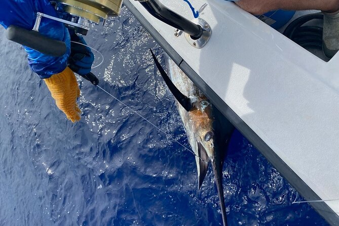 Kona - 5 Hours Private Fishing Charter in Kailua-Kona - Trolling the west coast: what the fishing style feels like