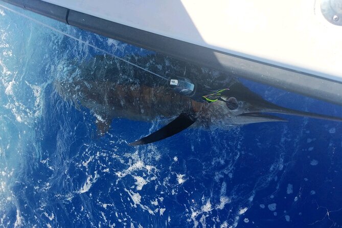 Kona - 5 Hours Private Fishing Charter in Kailua-Kona - Living the Kona boat day: culture, marine life, and scenery
