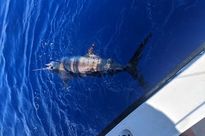 Kona - 6 Hour Private Fishing Charter Kona, Hawaii - Timing, Meet Point, and How the Day Runs