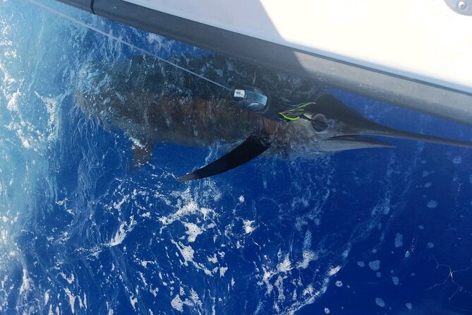 Kona - 8 Hour Private Fishing Charter in Kailua-Kona, Hawaii - Crew, Crewwork, and the Captain You’ll Want on Your Side