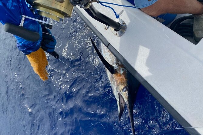Kona - 8 Hour Private Fishing Charter in Kailua-Kona, Hawaii - Weather, Fitness, and Realistic Expectations on the Bite
